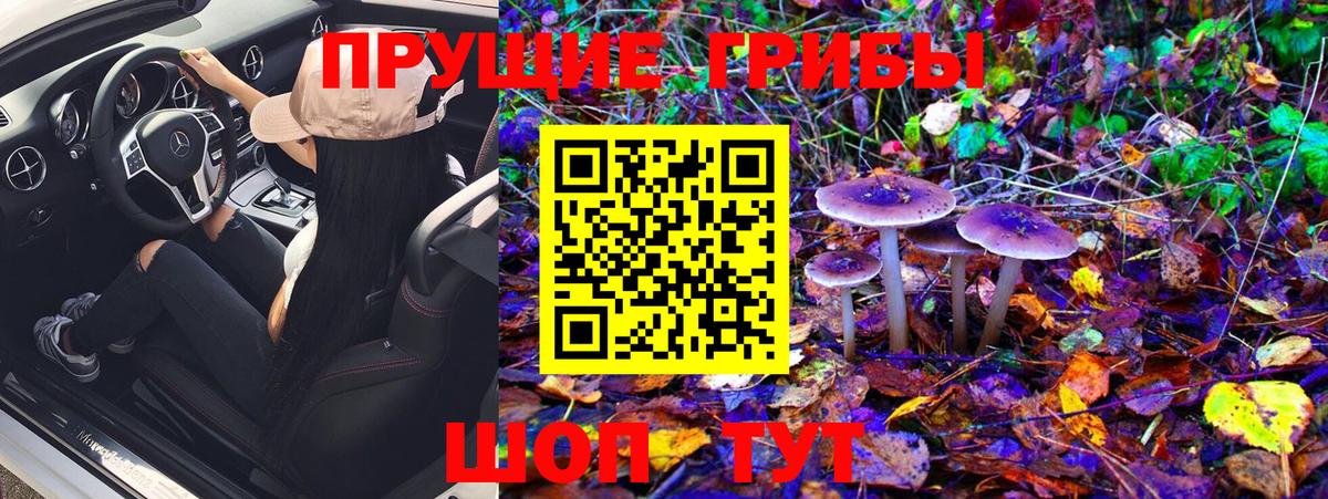 Псилоцибиновые грибы GOLDEN TEACHER Черемхово